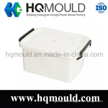 Armazenamento de alta qualidade caixa molde/molde